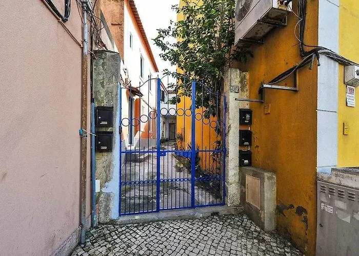 Yard - Checkinhome דירה אוייראס